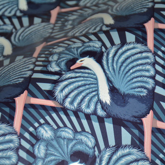 DIVINE SAVAGES / Zsa Zsa 'Blue' / DVS067-ZSA-BLU-WR