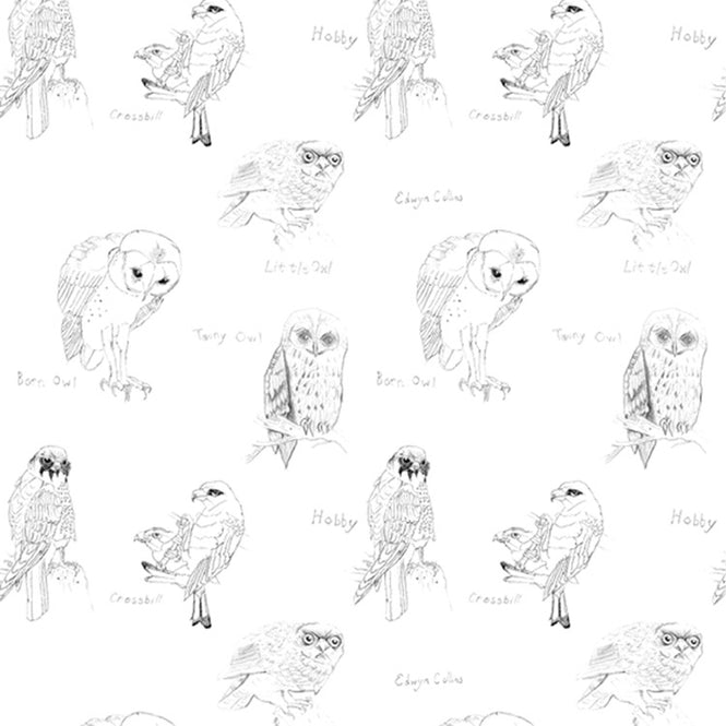 Elli Popp / Barn Owl / ECP101-01 matt