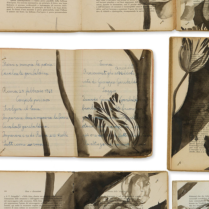 BIBLIOTECA WALLPAPER BY EKATERINA PANIKANOVA / EKA-02 【3パネル1セット】