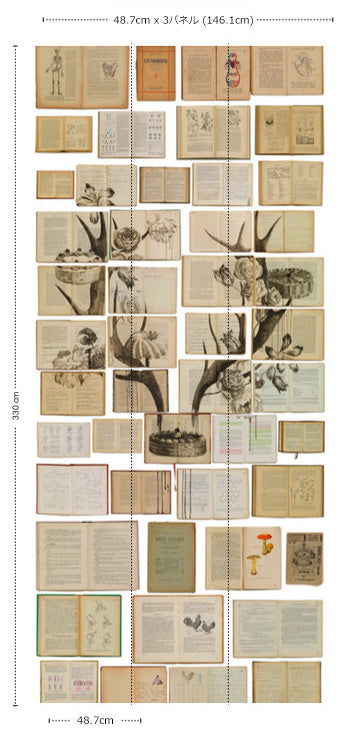 BIBLIOTECA WALLPAPER BY EKATERINA PANIKANOVA / EKA-02 【3パネル1セット】