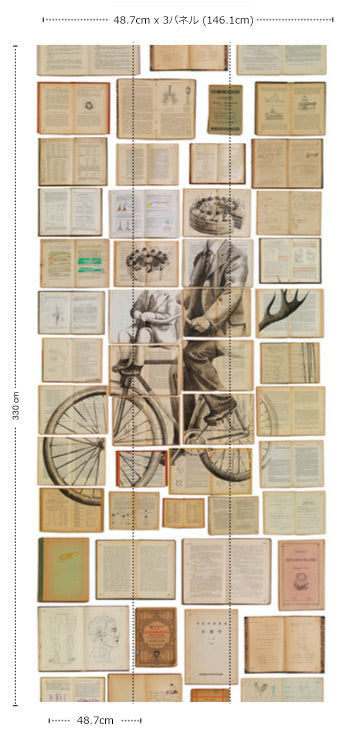 BIBLIOTECA WALLPAPER BY EKATERINA PANIKANOVA / EKA-03 【3パネル1セット】