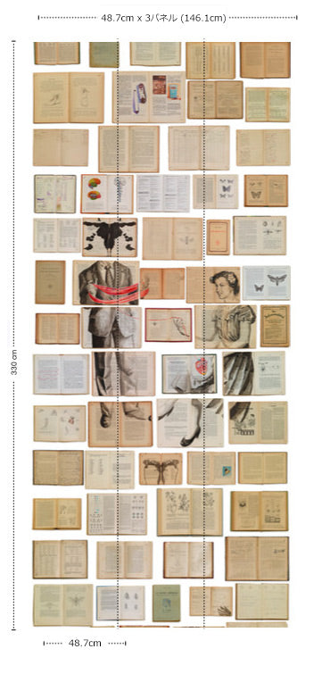 BIBLIOTECA WALLPAPER BY EKATERINA PANIKANOVA / EKA-04 【3パネル1セット】