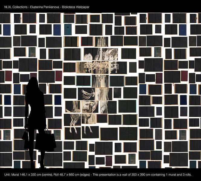 BIBLIOTECA WALLPAPER BY EKATERINA PANIKANOVA / EKA-05 【3パネル1セット】