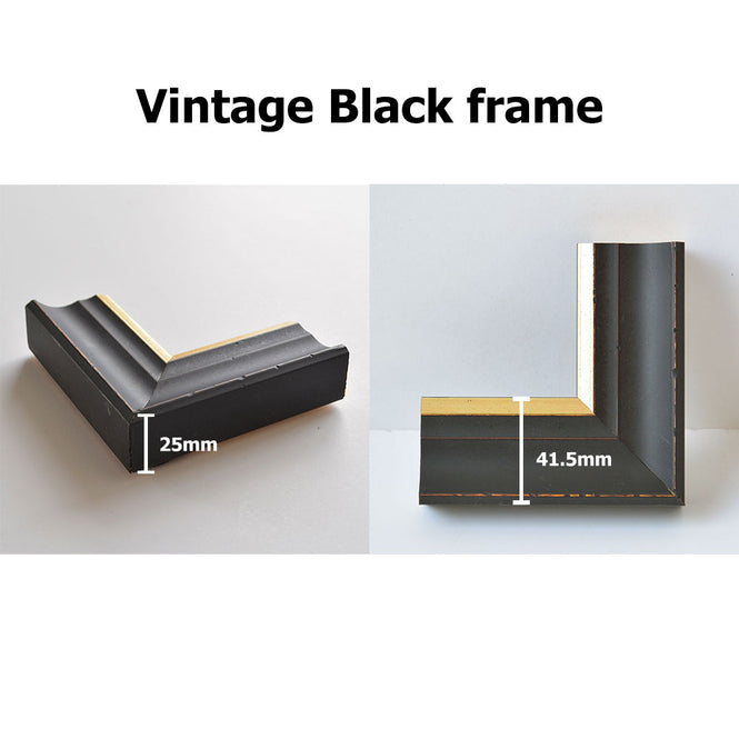 MINDTHEGAP WALL ART / Map of the Moon 1880  FA12206