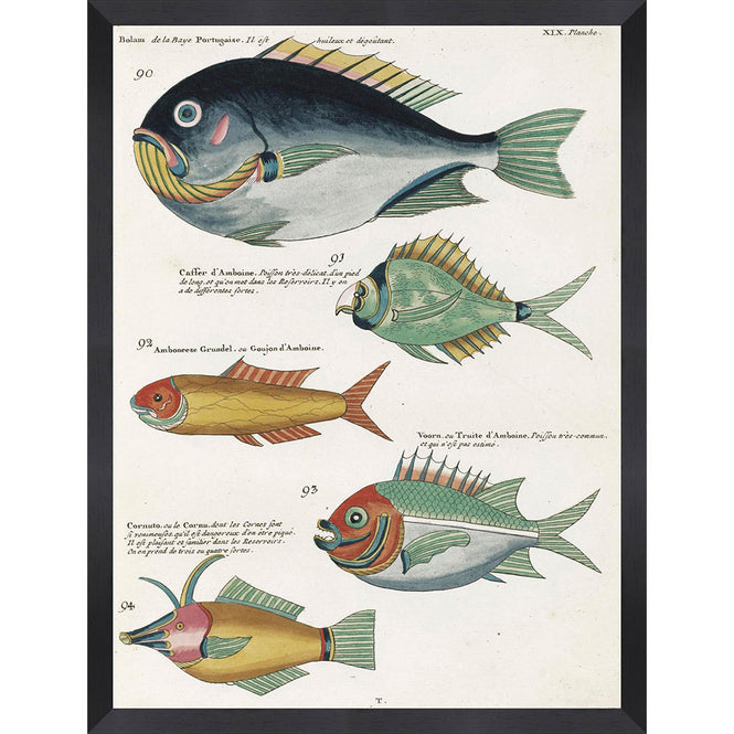 MINDTHEGAP WALL ART / Poissons Ecrevis VII  FA12502