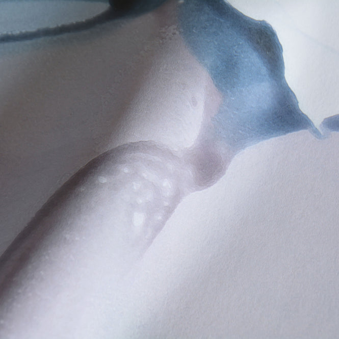 FEATHR / BOOK04 / SACRED SMOKE Original FE06901