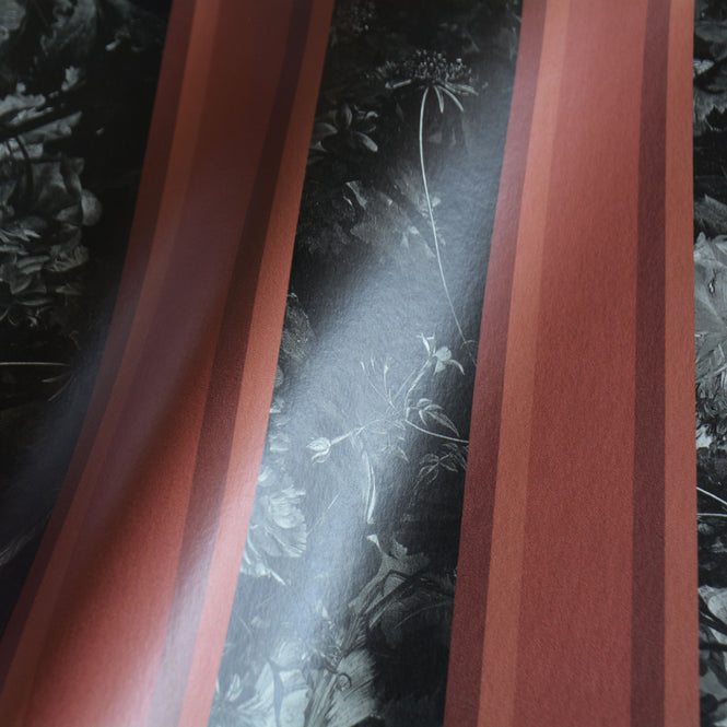 FEATHR / BOOK04 / VICTORY OVER IGNORANCE Ochre