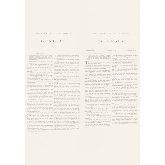 Andrew Martin / SCHOLAR / Genesis