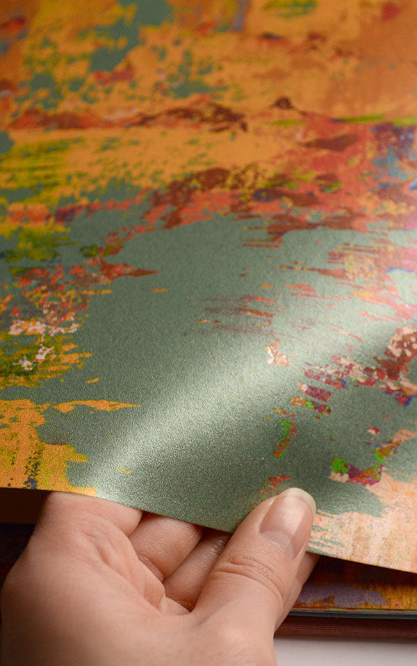 Susi Bellamy / Grey Stucco 【3ロールセット】