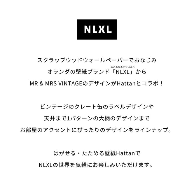 はがせる 壁紙 【Hattan Pattern】NLXL BIG PATTERN "PAOLA" MURAL HMRV-03 フルセット(24枚セット)