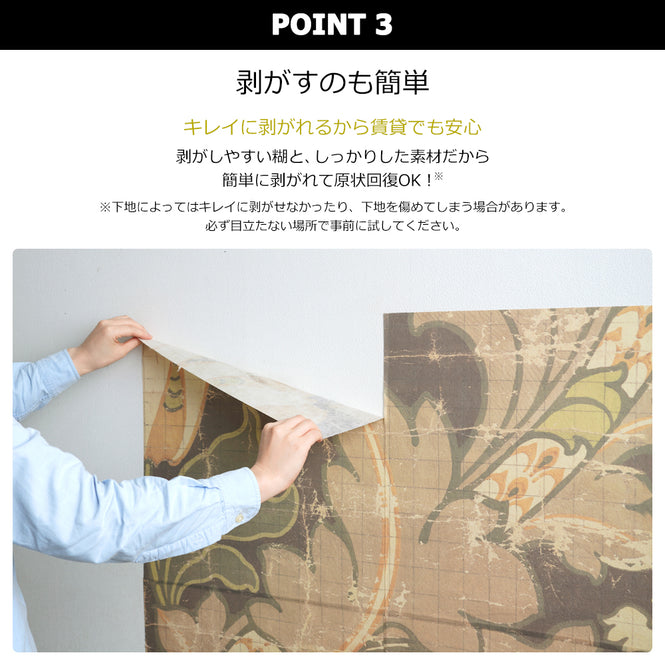 はがせる 壁紙 【Hattan Pattern】NLXL BIG PATTERN "PAOLA" MURAL Dset HMRV-03D(6枚セット)