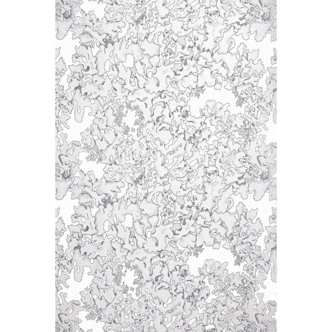Abigail Edwards / Lichen Wallpaper Dust