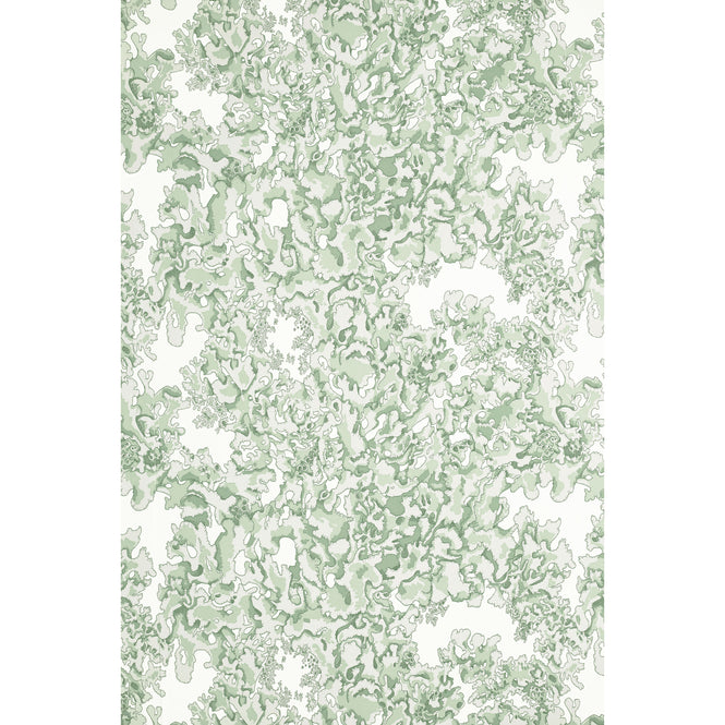 Abigail Edwards / Lichen Wallpaper Seaweed