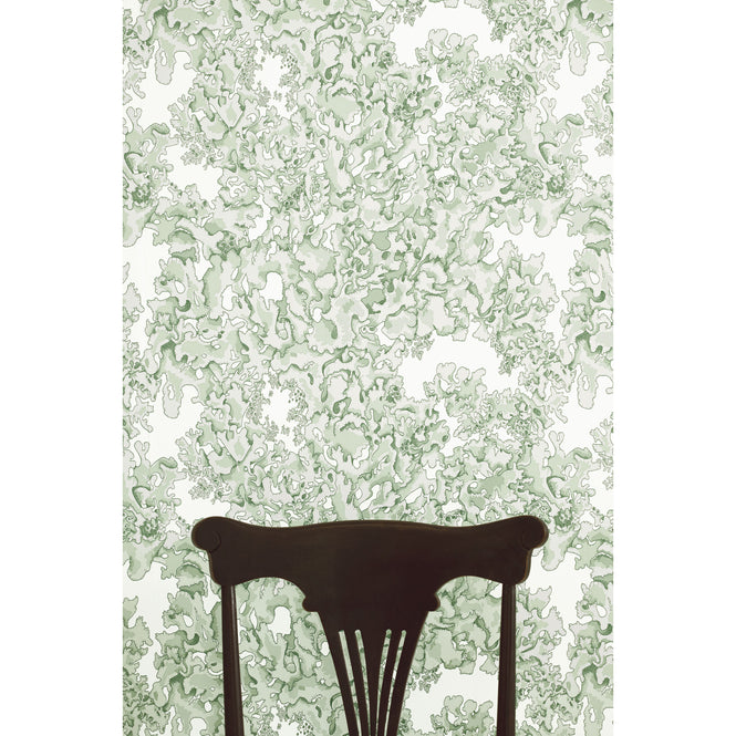Abigail Edwards / Lichen Wallpaper Seaweed