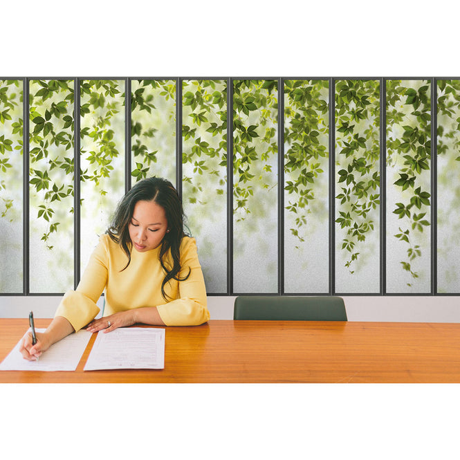 KOZIEL / Papier peint panoramique petite verriere et vigne vierge LPV020