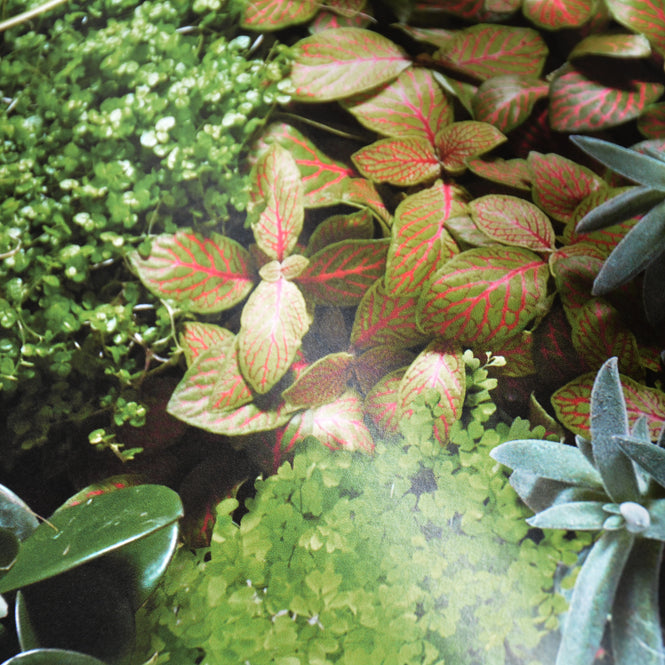 ※質感参考画像