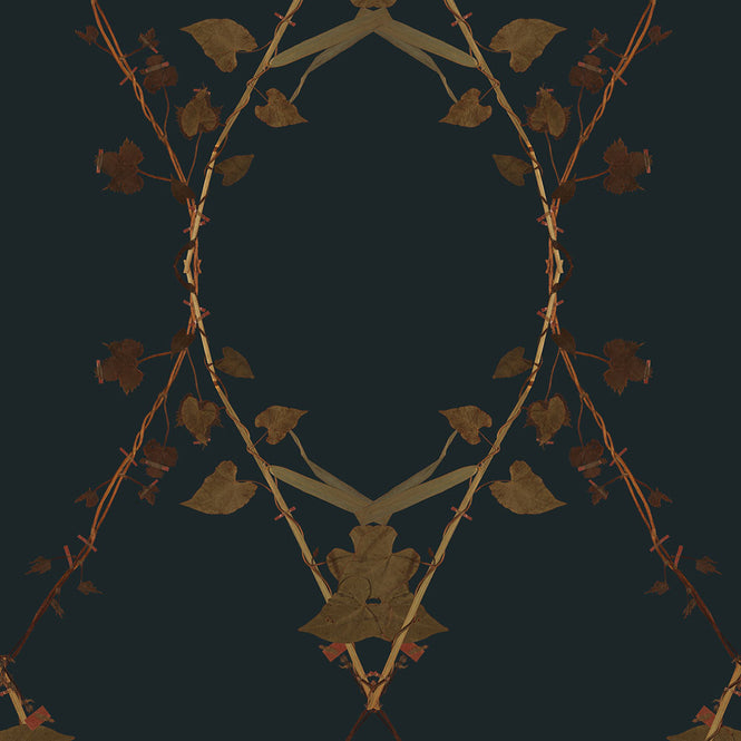 Studio DeSimoneWayland / VOLUME1 / MORNING GLORY DARK TEAL VO1-MG-DT【MATTE COATED】【4ロールセット】