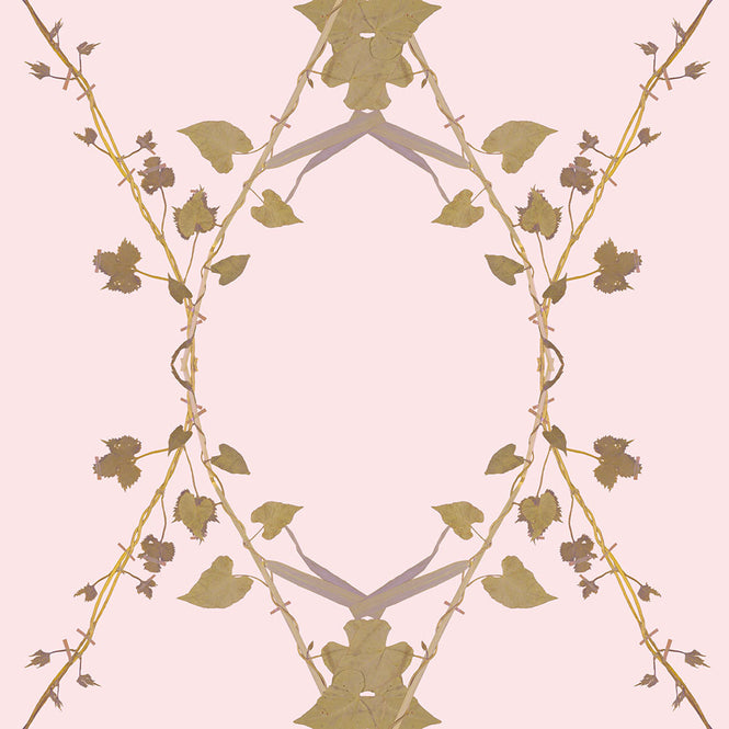 Studio DeSimoneWayland / VOLUME1 / MORNING GLORY SHELL PINK VO1-MG-SP【MATTE COATED】【4ロールセット】