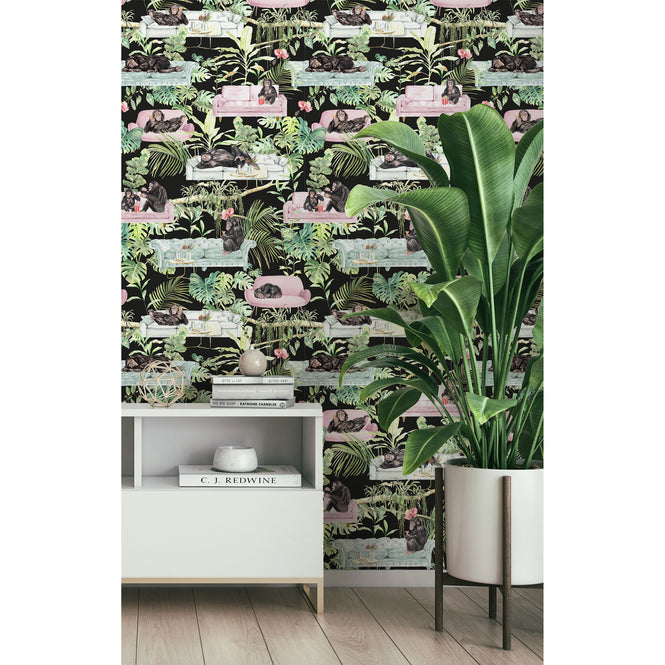 Graduate Collection / Monkey Business Black / TB1MONKBLA