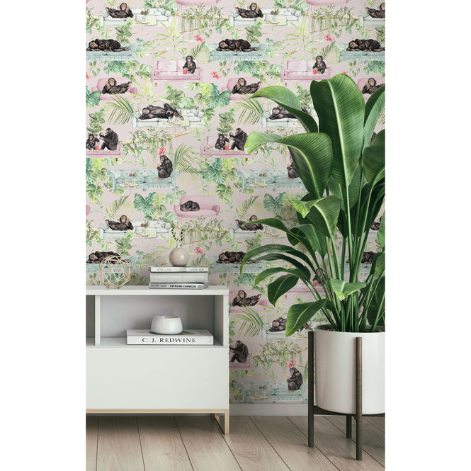 Graduate Collection / Monkey Business Pink / TB1MONKPIN