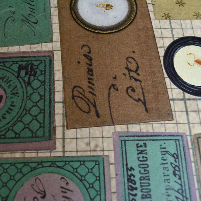 NLXL LAB / MICROSCOPIC SLIDES / MR & MRS VINTAGE / MRV-10