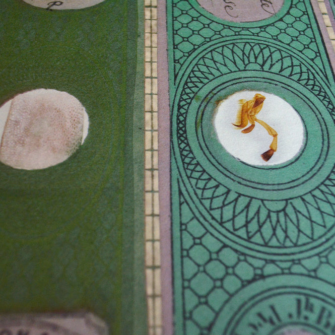 NLXL LAB / MICROSCOPIC SLIDES / MR & MRS VINTAGE / MRV-10