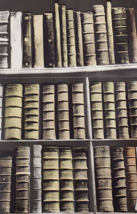 Deborah Bowness / The Artist Collection / New Antique Books Green-Grey-Yellow