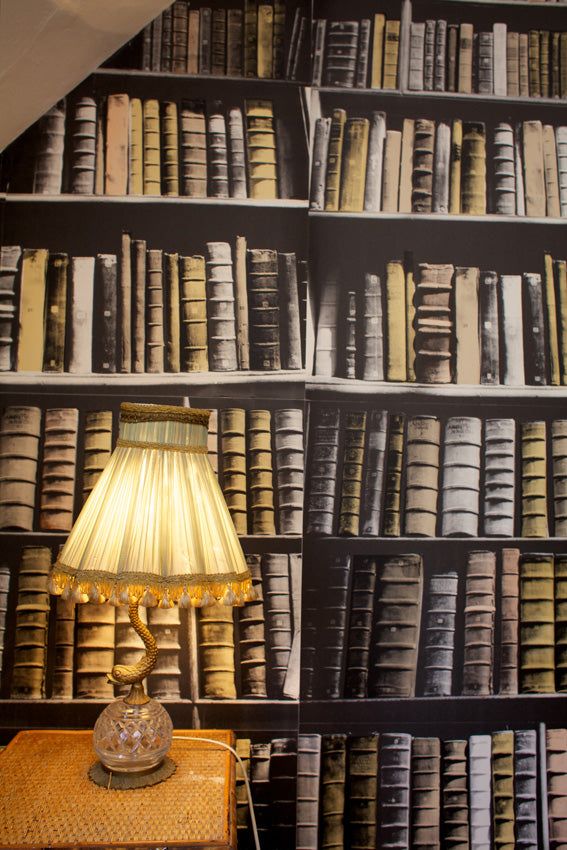 Deborah Bowness / The Artist Collection / New Antique Books Brown