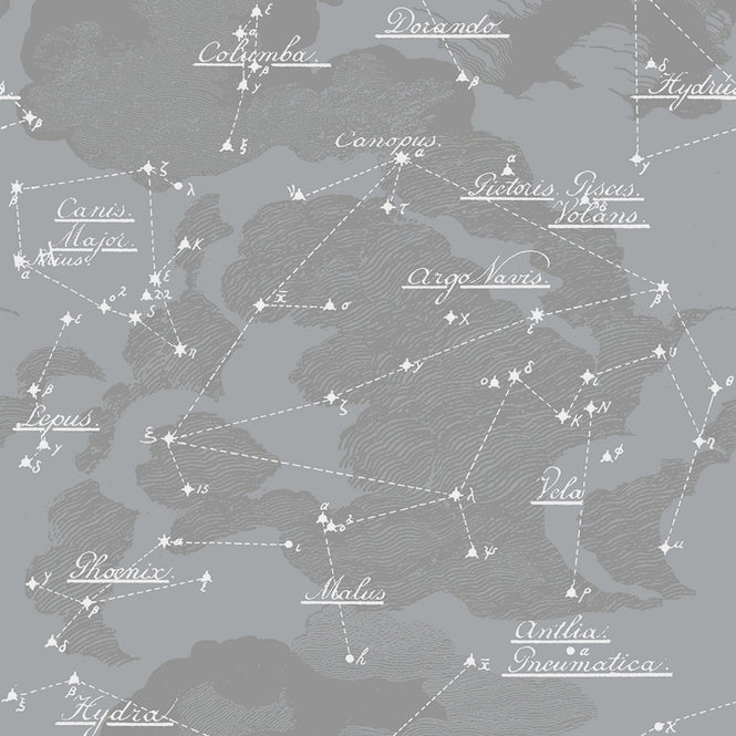 Studio DeSimoneWayland / VOLUME1 / NIGHT SKY SILVER LIGHT VO1-NS-SL【MICA COATED】【4ロールセット】