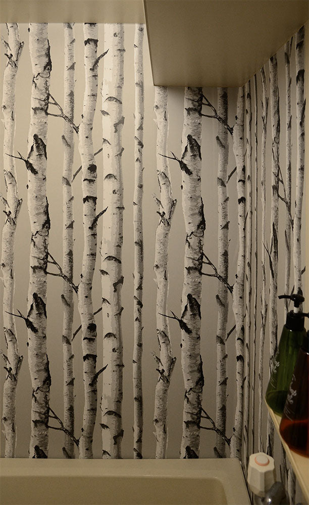 はがせる シール 壁紙 NU WALLPAPER / Birch Tree Peel And Stick Wallpaper / NU1650(NU3128)