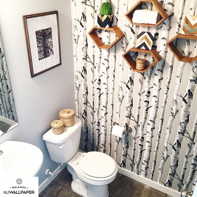 はがせる シール 壁紙 NU WALLPAPER / Birch Tree Peel And Stick Wallpaper / NU1650(NU3128)
