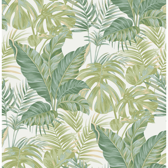 はがせる シール 壁紙 NU WALLPAPER / Madagascar Peel and Stick Wallpaper / NU3382