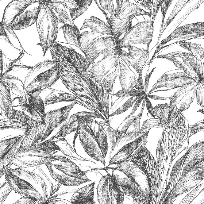 はがせる シール 壁紙 NU WALLPAPER / Black Canopy Peel and Stick Wallpaper / NUS3498