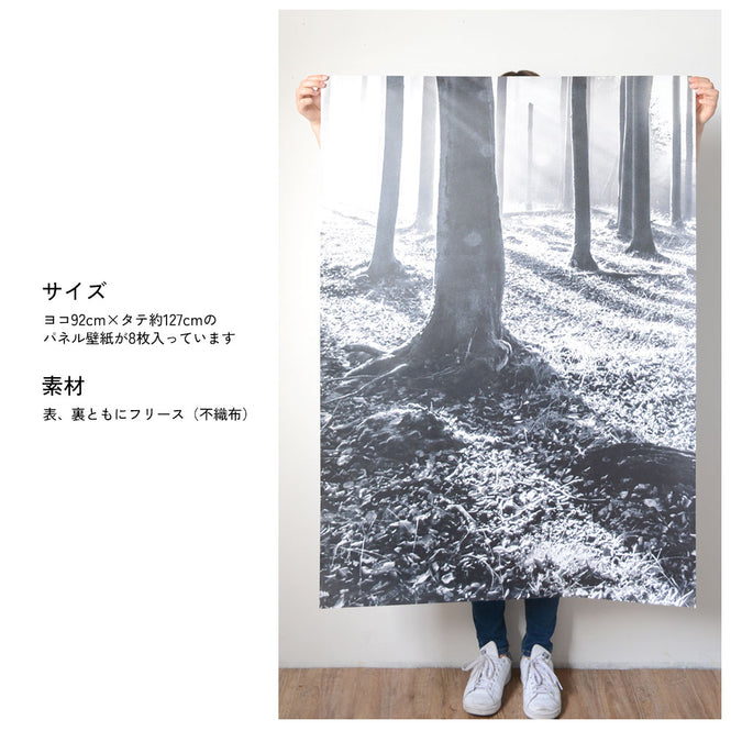 【限定数】1 Wall / XXL Wall Mural / BLUE WORLD MAP