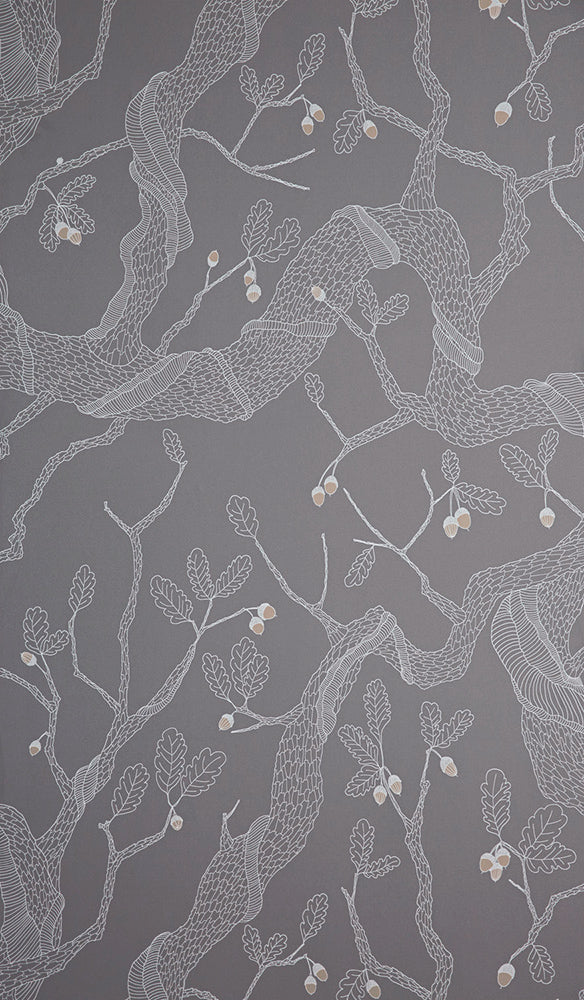 Abigail Edwards / Oak Tree Darkness