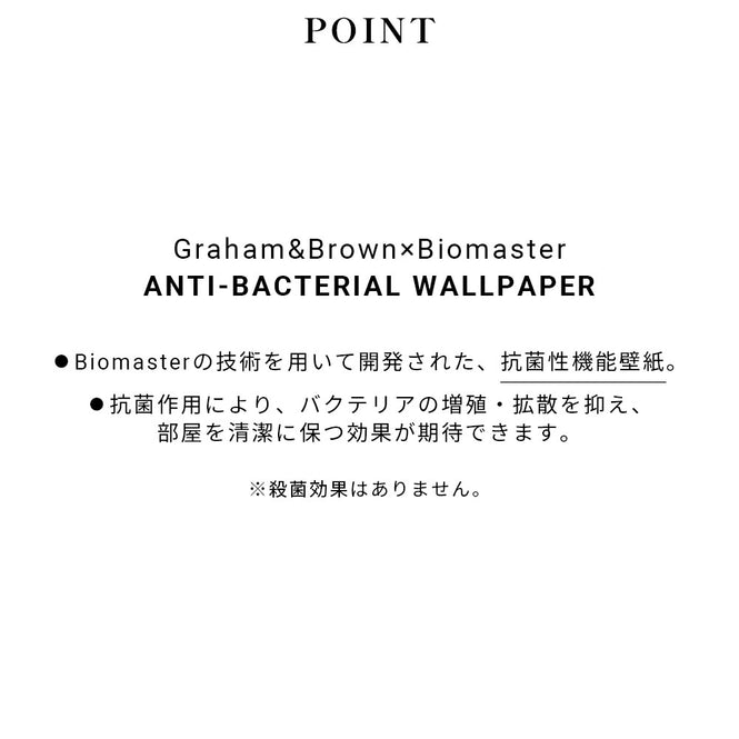 【1mサンプル】Graham & Brown / OASIS / HEXAGON LATTICE WHITE 112650