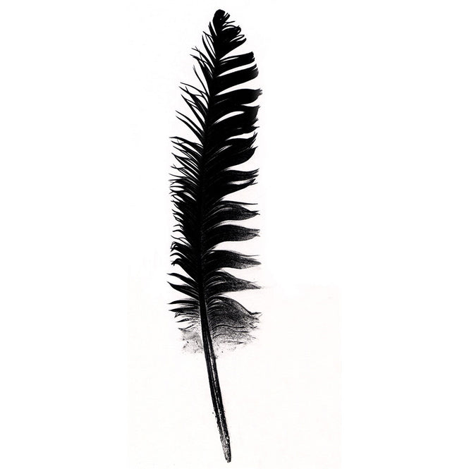 Tracy Kendall / Open Feather