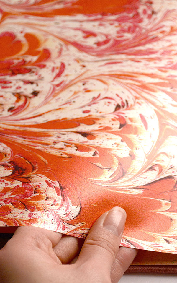 Susi Bellamy / Orange Feathered 【3ロールセット】