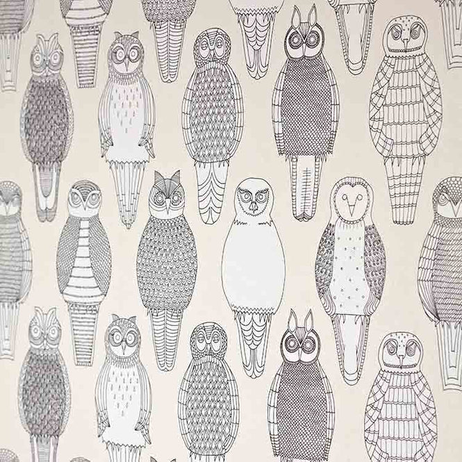 【A4サンプル】Abigail Edwards / Owls of the British Isles