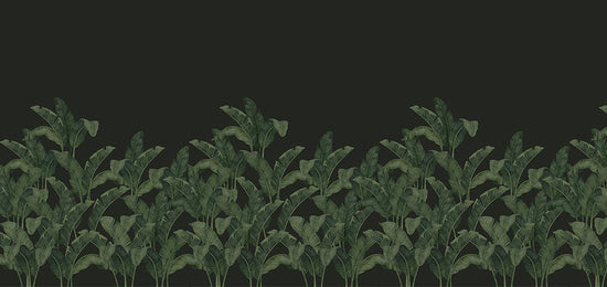 Tres Tintas / LES VANGARDES BANANELLA BA-04