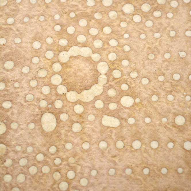 LE MONDE SAUVAGE de BEATRICE LAVAL / ルモンドソヴァージュ Make up PB304 (12枚1セット)