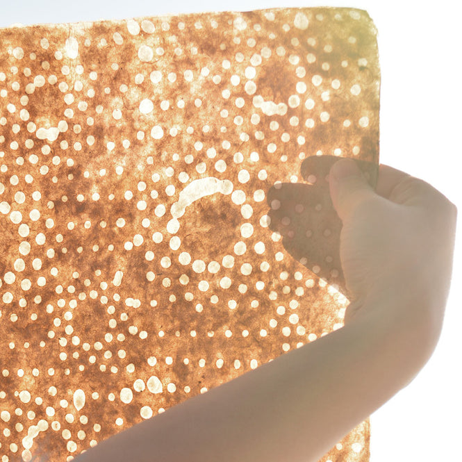 LE MONDE SAUVAGE de BEATRICE LAVAL / ルモンドソヴァージュ Make up PB304 (1枚単位)