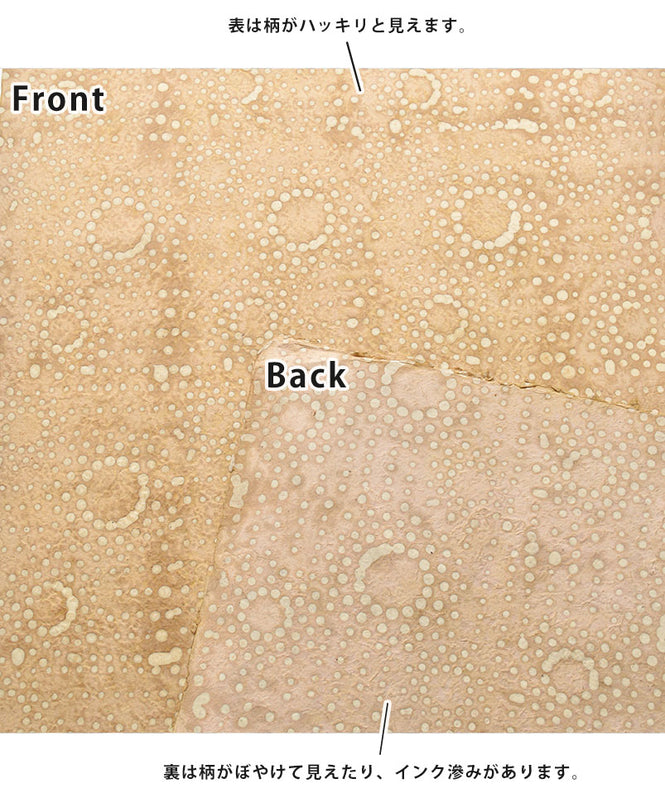 LE MONDE SAUVAGE de BEATRICE LAVAL / ルモンドソヴァージュ Make up PB304 (12枚1セット)