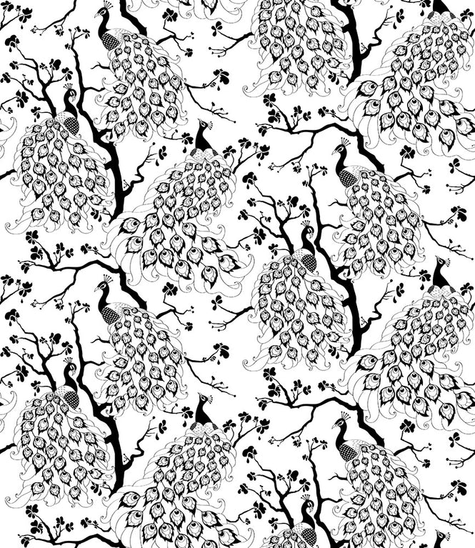 Dupenny Peacock  / Black and White