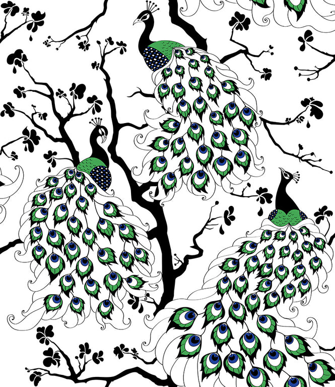 Dupenny Peacock  / Colour