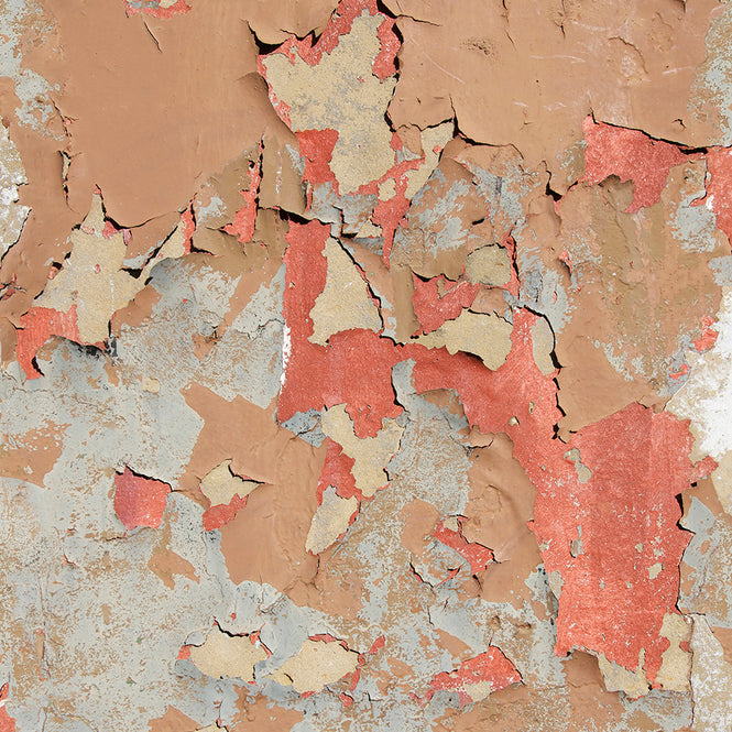 Ella Doran / Peeling Paint