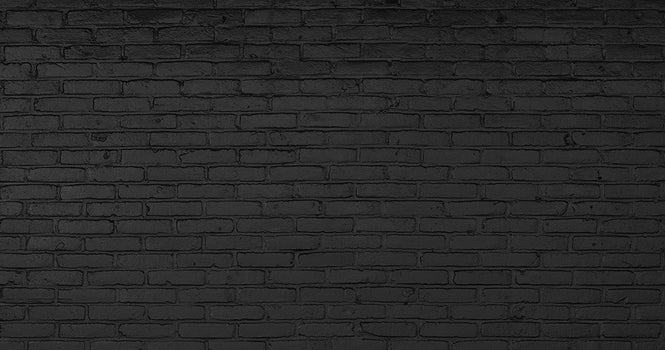 【切売m単位】NLXL LAB BLACK BRICK WALLPAPER BY PIET HEIN EEK / PHM-33