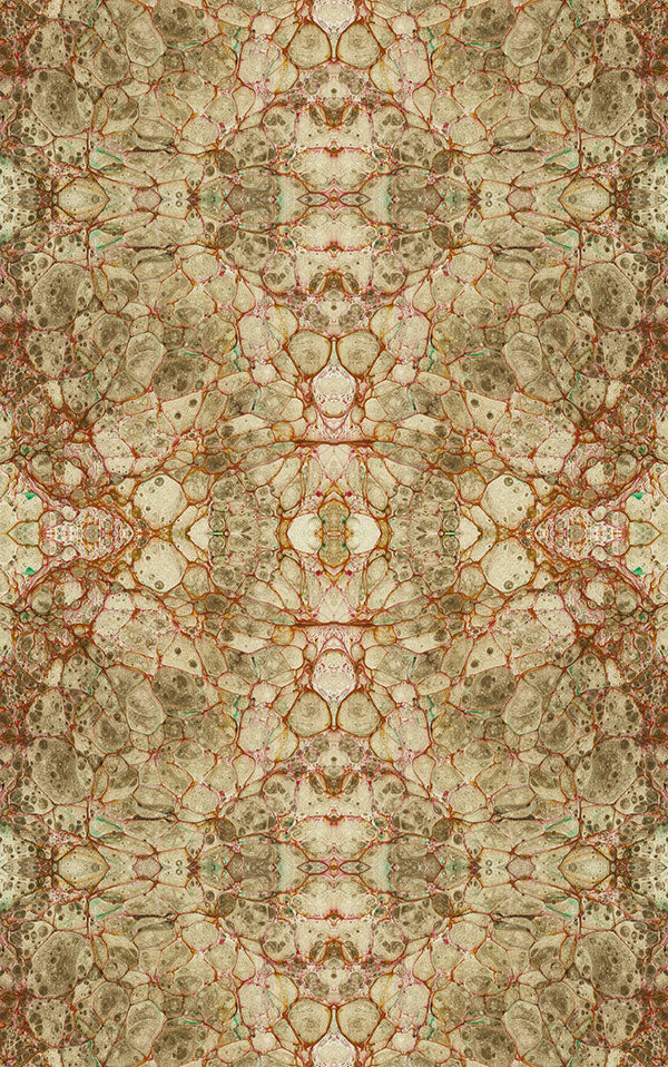 Susi Bellamy / Pietra Grigia 【3ロールセット】