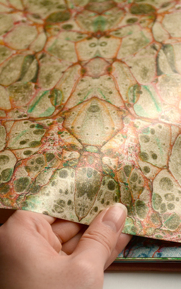 Susi Bellamy / Pietra Grigia 【3ロールセット】