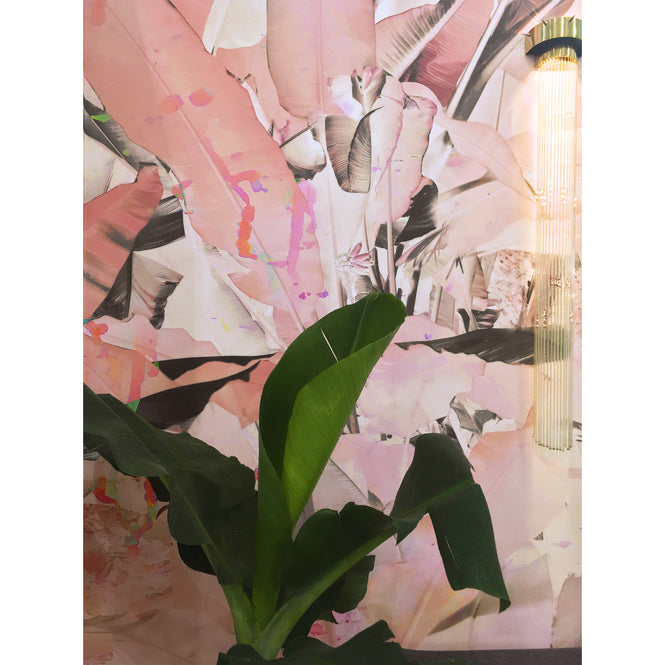 Elli Popp / Wise pond - A frog jumps-Pink / PM164-03 mica